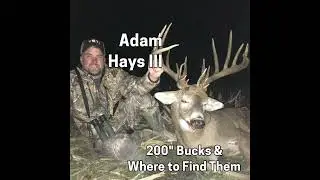 206 ADAM HAYS III - 200