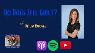 Do Dogs Feel Guilt? With Dr Lisa Radosta