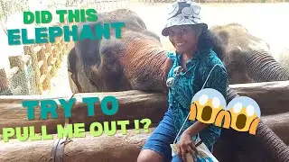 An Elephant Tried to Carry Me!???-Pinnawala Vlog|Thinuki Perera