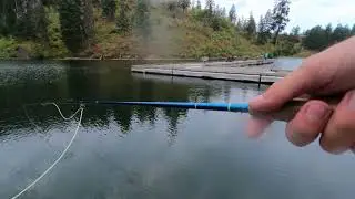 Lake fishing, Crappie and Sunfish