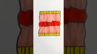 Chips Easy Drawing For Kids  #drawing #chips #art #kidsvideo