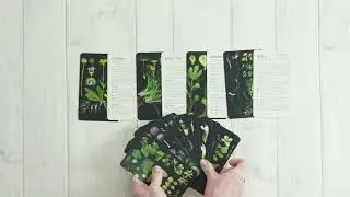 50 Plants that Heal - The Card Deck