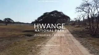Hwange National Park 4K Drone Safari | Zimbabwe, Africa