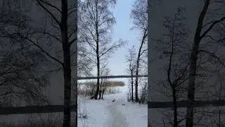 #природа_россии #nature #спокойствие #озеро