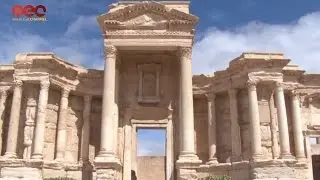 Palmyra Must Be Saved