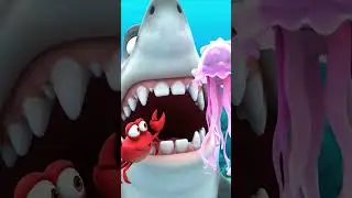 Funny Shark Facts 🦈 | Cool Kings of the Ocean #kidsanimation #3danimation #kidscartoon