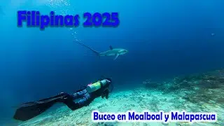 Buceo en Filipinas Moalboal y Malapascua 2025