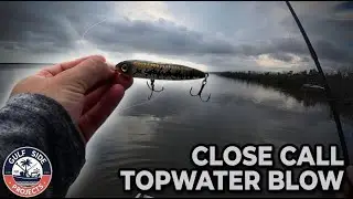 A Close Call, Calm Waters & Topwater Blows | SW Florida Fishing