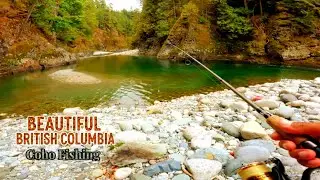 Beautiful British Columbia Coho Fishing