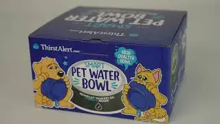 pet water bowl 2023