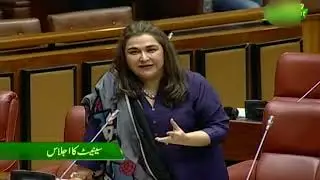 senator dr zarqa