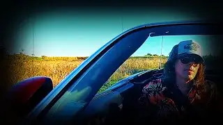 Ken Stringfellow &ndash; Ride High (Official Music Video)