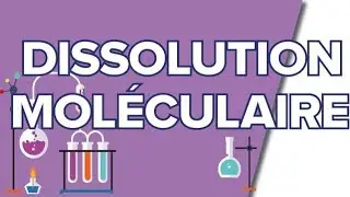 Dissolution Moléculaire - Chimie - 1S