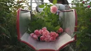Saving California&rsquo;s Flower Farmers, Award-Winning Call to Action Campaign