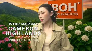 🇲🇾 Things to Do in Cameron Highlands, Pahang, Flora Park, Lakehouse, Boh Tea Centre