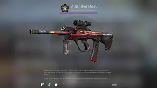 CS:GO  Gamma 2 case