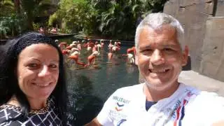 Lopesan Baobab Hotel, Meloneras, Gran Canaria 2016