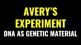 AVERY'S EXPERIMENT: DNA AS GENETIC MATERIAL