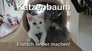 Katzenbaum einfach selber machen, zum Großteil aus Resten.