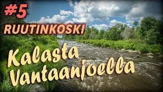 Ruutinkoskella: Peltsi bongaa elukan ja Juha onkii sorvan