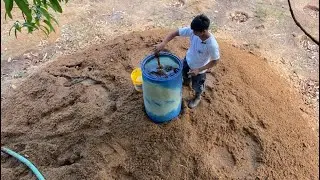 How to Compost Chicken Manure
