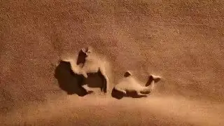 Rajasthan tourism Ad-creativity on sand