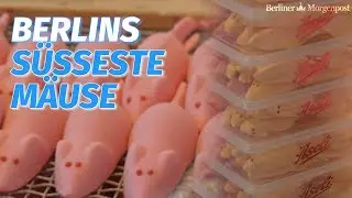 Aseli: Die s&uuml;&szlig;en Schaumzuckerm&auml;use aus Berlin