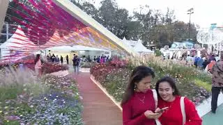 Flower show 2025 C9494