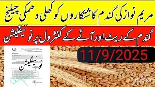 Big updates wheat price in Punjab/wheat support price in Punjab pakistan/local farmers 