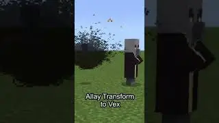 Allay Transform To Vex Minecraft