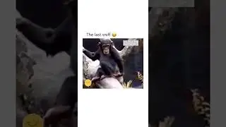 HE WAS ABOUT TO FALL
