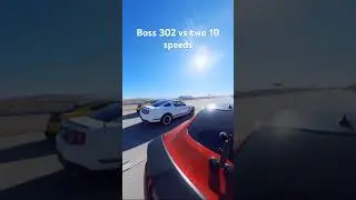 Boss 302 vs 10 speed Mustang