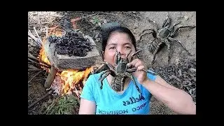 Primitive Technology - black spider on rock - Cooking eating delicious