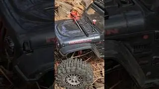 Axial jeep Gladiator RC Deep Forest Adventure #Trail 4x4 #RTR 10th #Scale Off-road Fun