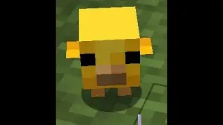 Getting Sidetracked by Cuteness in Minecraftw