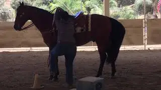 Jennifer Eliot & Surprized By Chic Select Amateur Trail