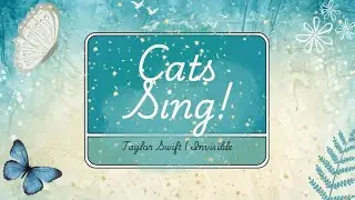 Cats Sing! | Invisible Taylor Swift Debut TRACK 13!!!
