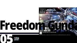 HGCE Freedom Gundam