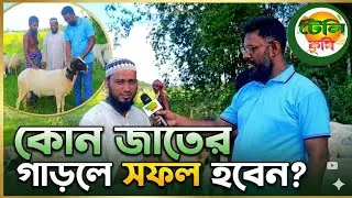 আপনি কি গাড়ল পালন করতে চান? - কোন জাতের গাড়ল পালনে সফল হবেন? | Garol palon - Garol khamar - Sheep 
