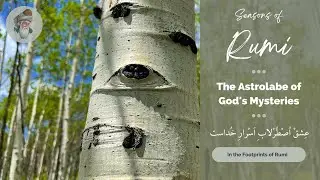 Seasons of Rumi - 