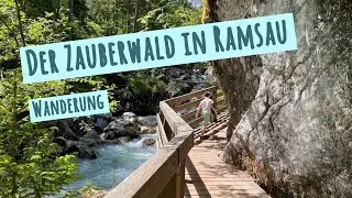 Wanderung durch den Zauberwald