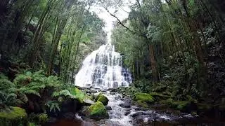 Nelson Falls, Tasmania Australia