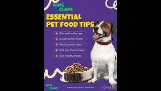Royalist Kibble, in simple term #cat #petcenter #petfood #petshop #petcareprovider #dogfood #kitten