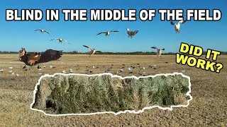 120 Snow Geese in An Hour From The Middle of the Field!! (15 Dz Silos Only)