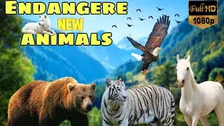 Animals that will extinct soon || 😭#farming #animals #birds