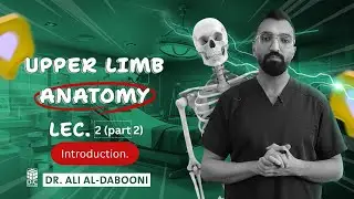Upper limb anatomy, Lec.2 (part 2), Introduction.