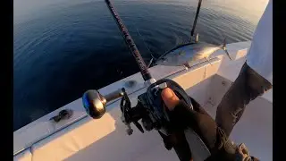 JIGGING FOR TUNA IN OMAN - FISHMAN BC4 510MXH #fishman #jigging #baitcasting