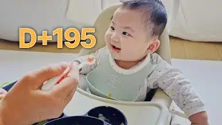 #day195 브이로그 시작을 다짐한 날인데 해가 바뀌고 업로드하는..