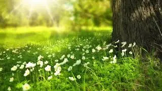 Lied: All Morgen ist ganz frisch und neu (EG 440)