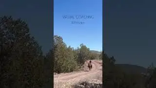 Virtual Coaching #equineprofessional #horsetrainer #equinescience #equinebehavior #onlinelessons